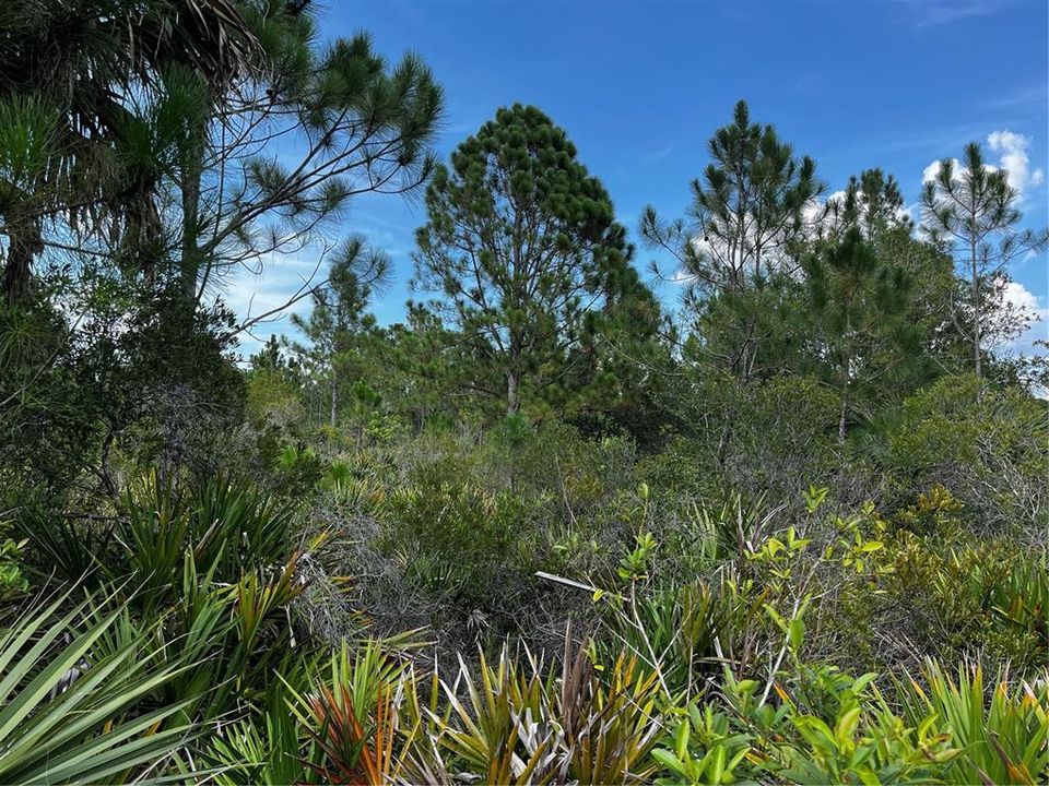 En Venta: $214,000 (10.00 acres)