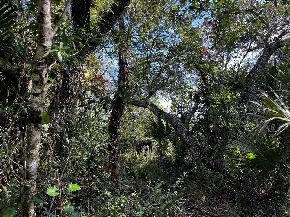 En Venta: $214,000 (10.00 acres)