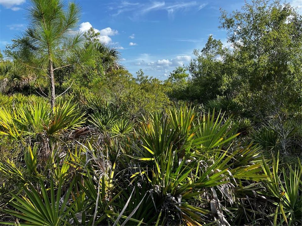 En Venta: $214,000 (10.00 acres)