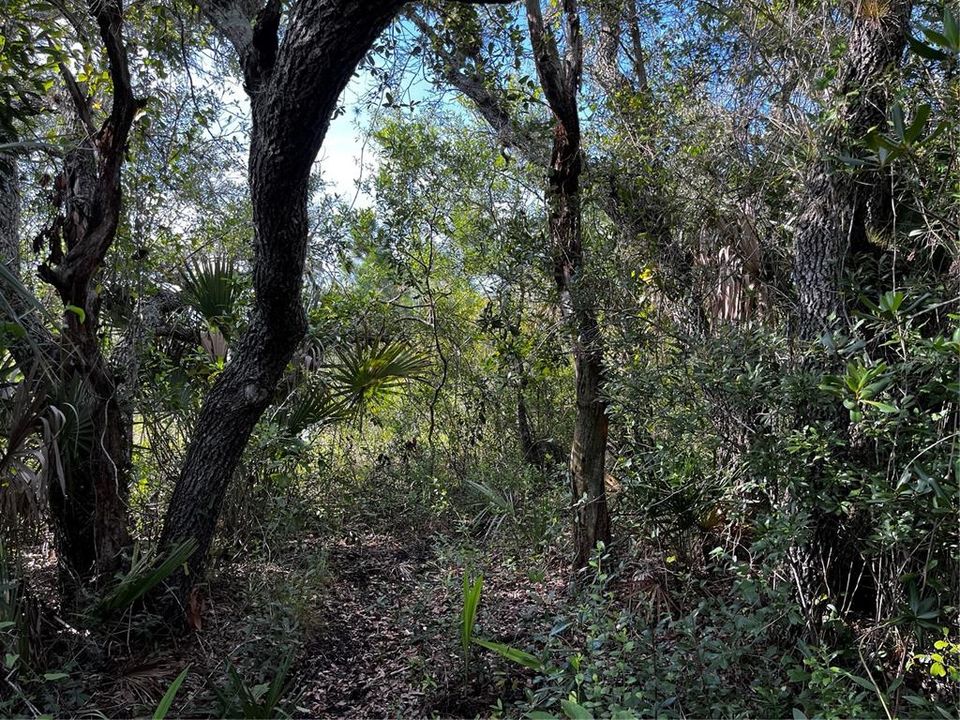 En Venta: $214,000 (10.00 acres)