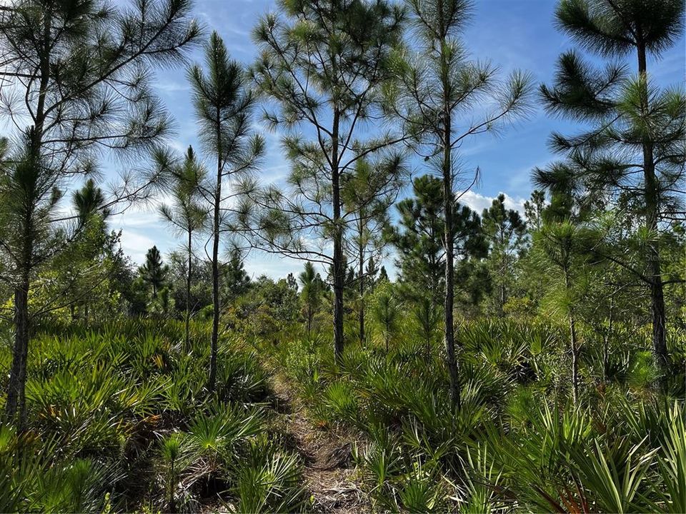 En Venta: $214,000 (10.00 acres)