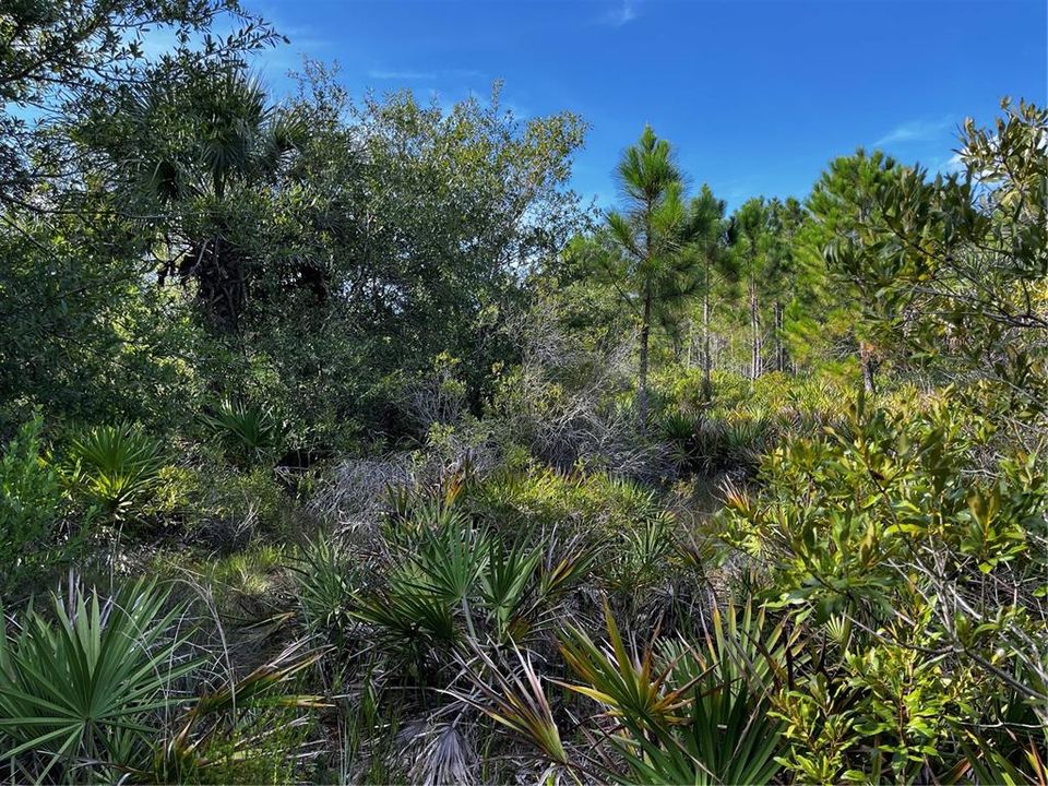 En Venta: $214,000 (10.00 acres)