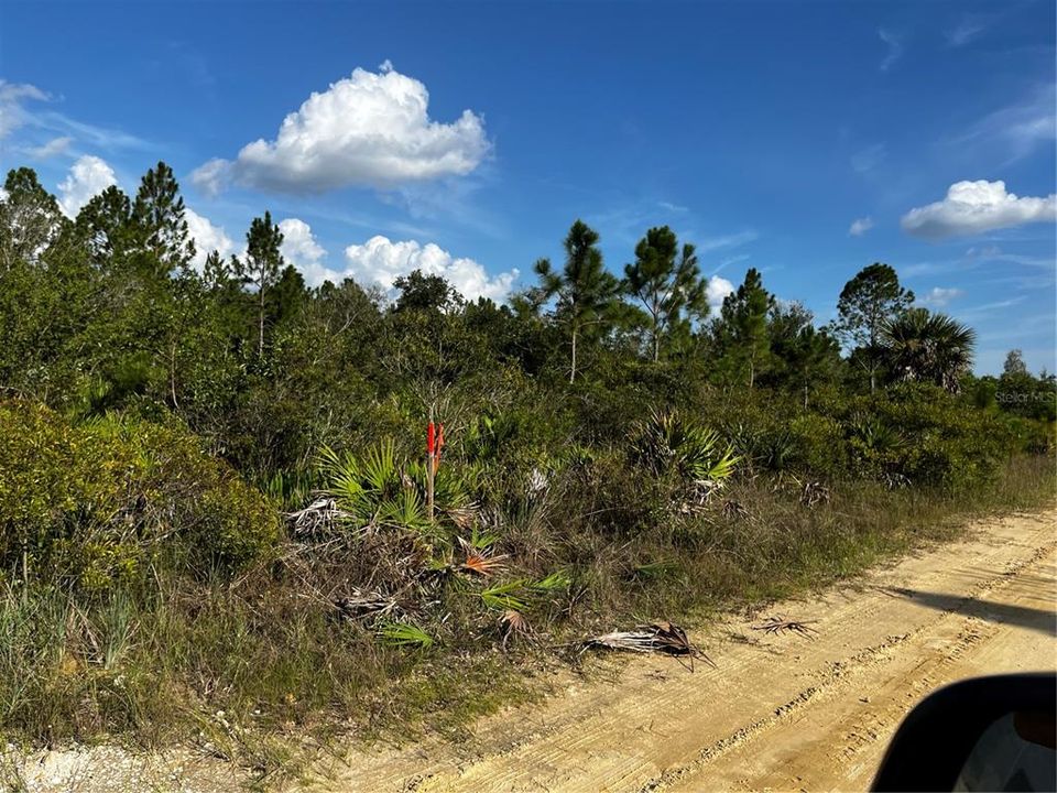 En Venta: $214,000 (10.00 acres)