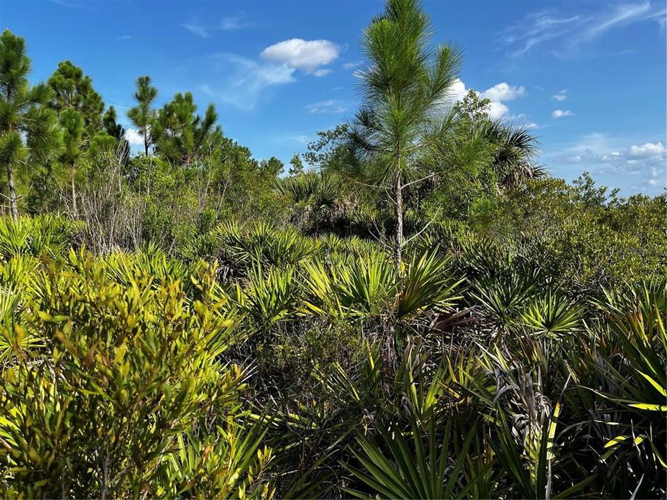 En Venta: $214,000 (10.00 acres)