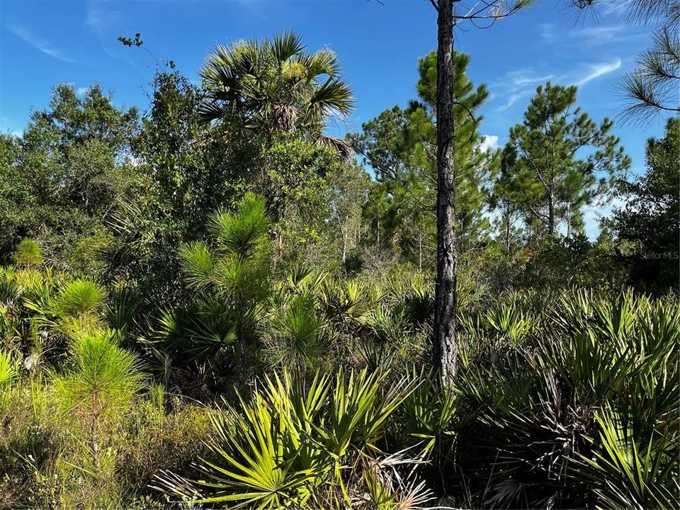 En Venta: $214,000 (10.00 acres)