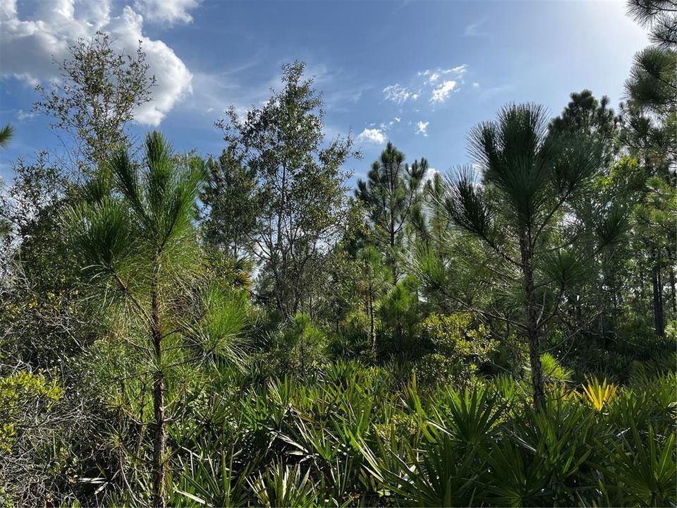 En Venta: $214,000 (10.00 acres)