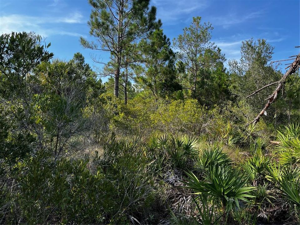 En Venta: $214,000 (10.00 acres)