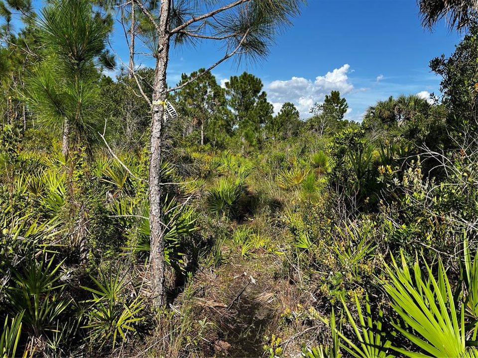 En Venta: $214,000 (10.00 acres)