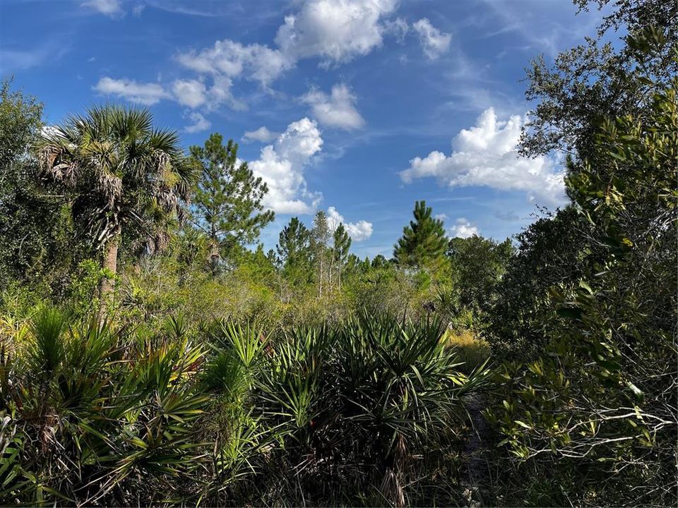 En Venta: $214,000 (10.00 acres)