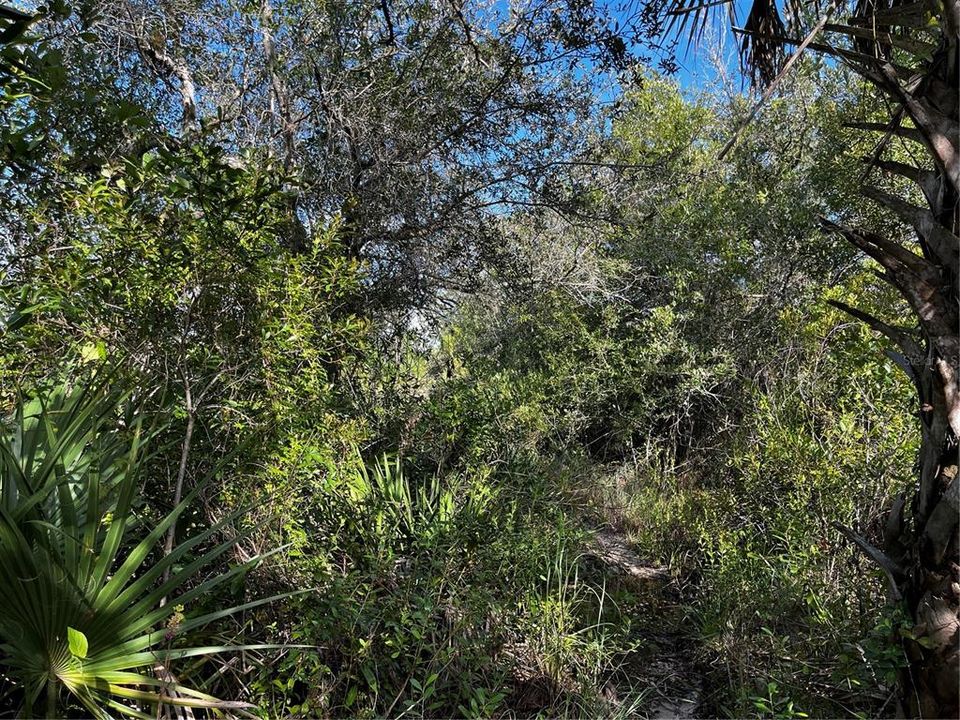 En Venta: $214,000 (10.00 acres)