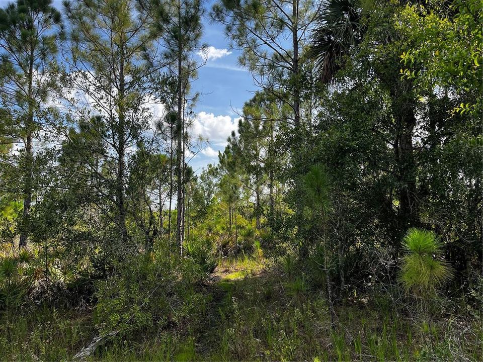 En Venta: $214,000 (10.00 acres)