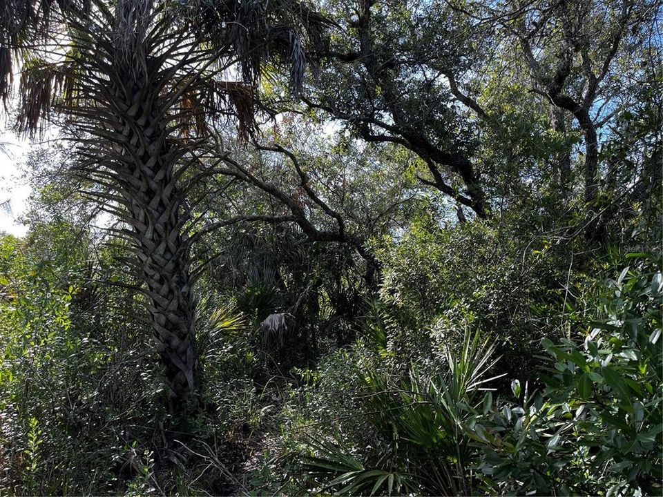 En Venta: $214,000 (10.00 acres)