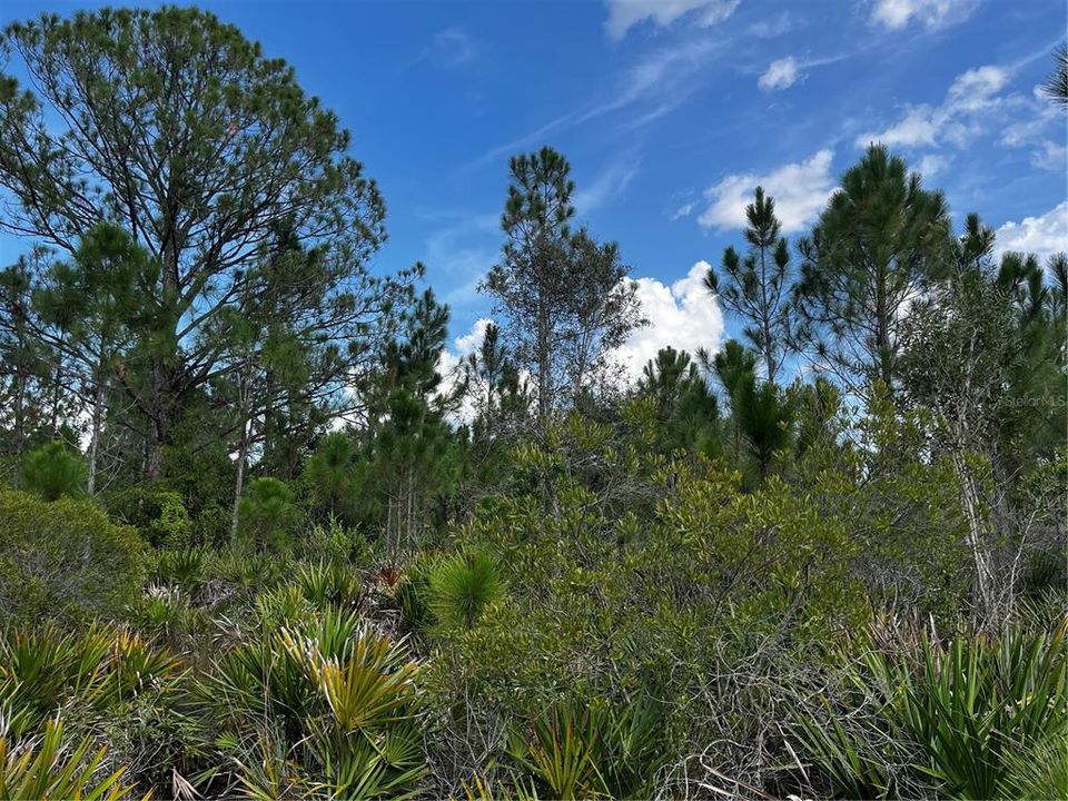 En Venta: $214,000 (10.00 acres)