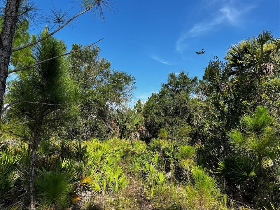 En Venta: $214,000 (10.00 acres)