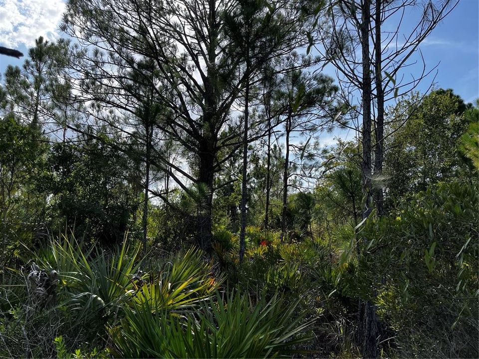 En Venta: $214,000 (10.00 acres)