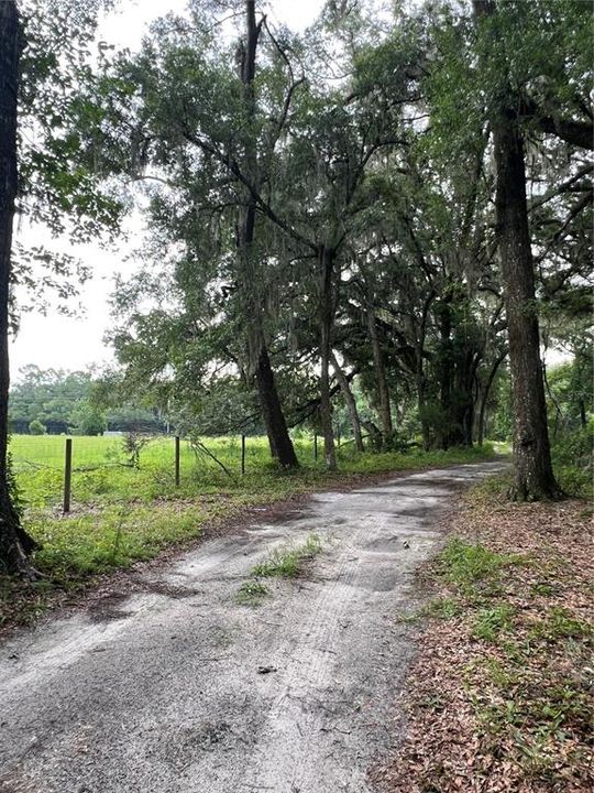 Под контрактом: $270,000 (5.00 acres)