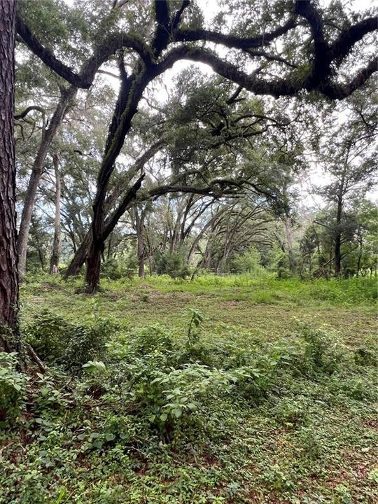 Под контрактом: $270,000 (5.00 acres)