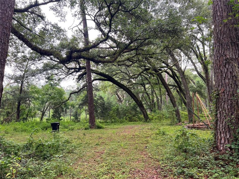 Под контрактом: $270,000 (5.00 acres)