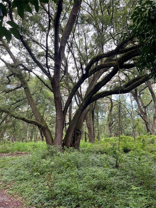 Под контрактом: $270,000 (5.00 acres)