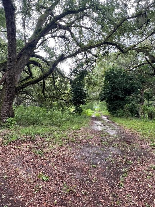 Под контрактом: $270,000 (5.00 acres)