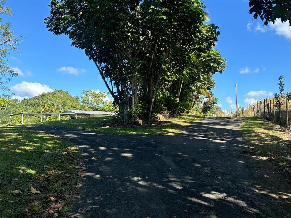 For Sale: $1,100,000 (2 beds, 1 baths, 650 Square Feet)