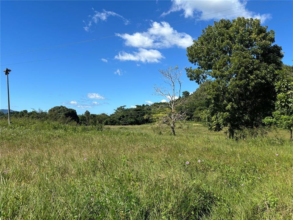 For Sale: $1,100,000 (2 beds, 1 baths, 650 Square Feet)