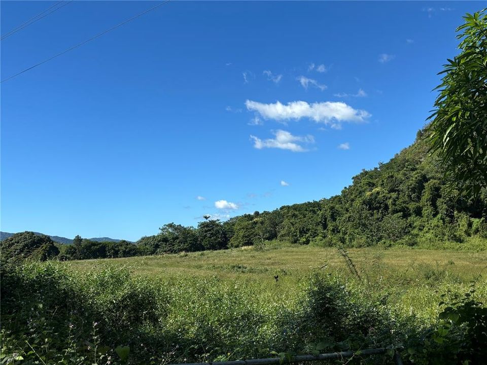 For Sale: $1,100,000 (2 beds, 1 baths, 650 Square Feet)