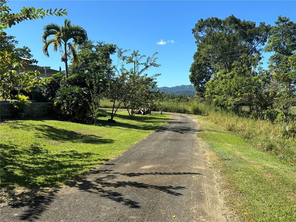 For Sale: $1,100,000 (2 beds, 1 baths, 650 Square Feet)