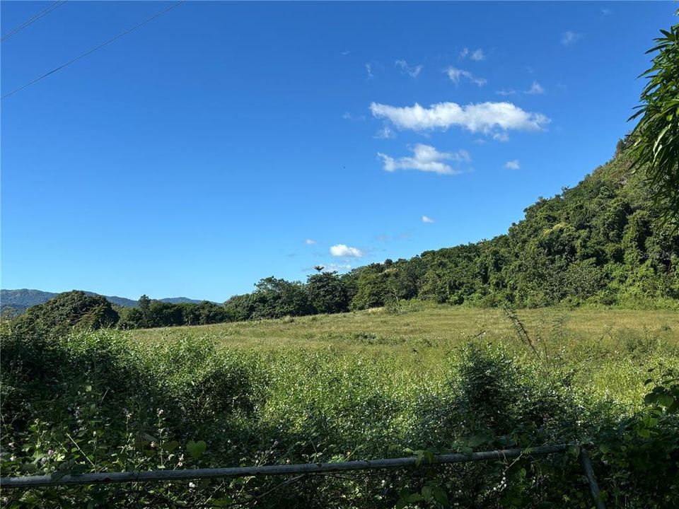 For Sale: $1,100,000 (2 beds, 1 baths, 650 Square Feet)