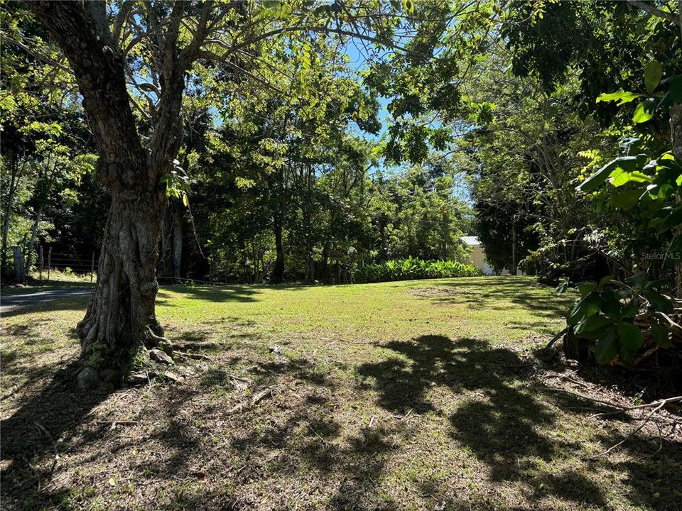 For Sale: $1,100,000 (2 beds, 1 baths, 650 Square Feet)