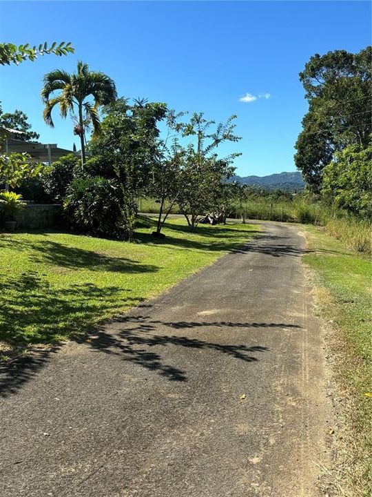 For Sale: $1,100,000 (2 beds, 1 baths, 650 Square Feet)