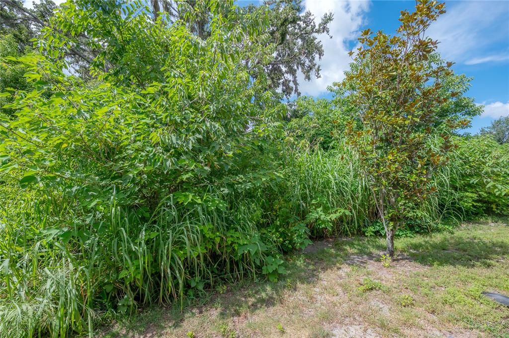 For Rent: $2,300 (3 beds, 2 baths, 1928 Square Feet)