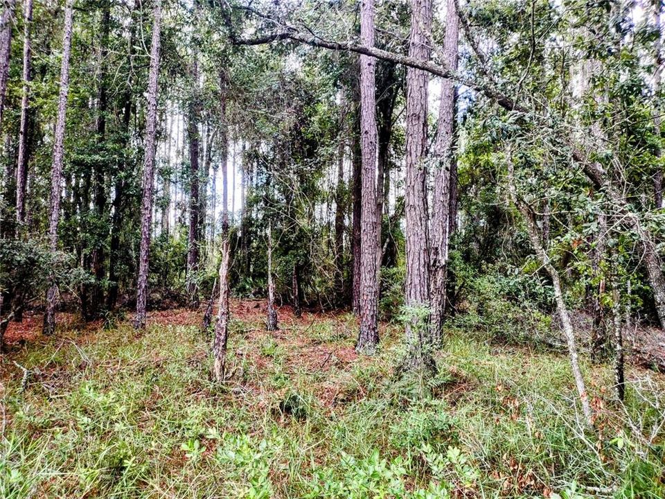 На продажу: $675,000 (3 спален, 2 ванн, 912 Квадратных фут)