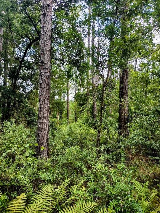 На продажу: $675,000 (3 спален, 2 ванн, 912 Квадратных фут)