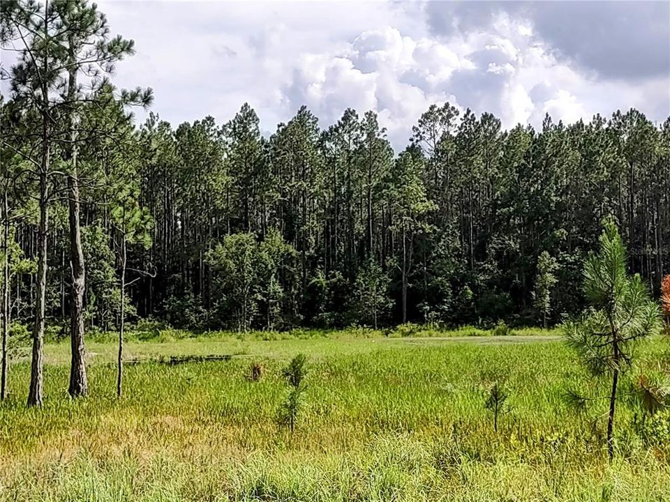 На продажу: $675,000 (3 спален, 2 ванн, 912 Квадратных фут)