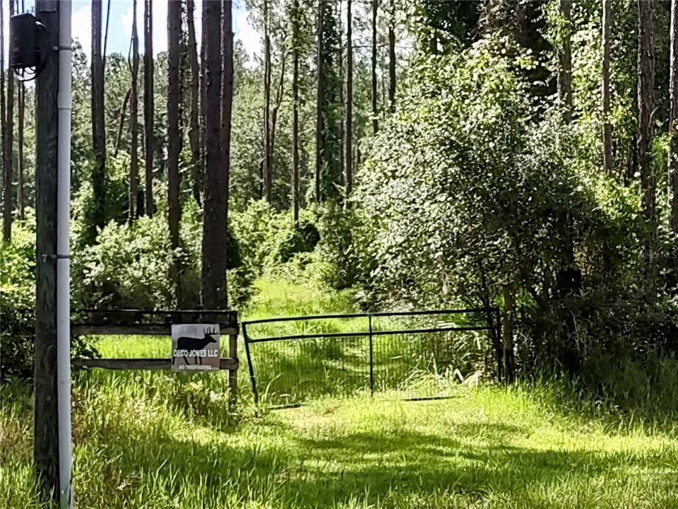 На продажу: $675,000 (3 спален, 2 ванн, 912 Квадратных фут)