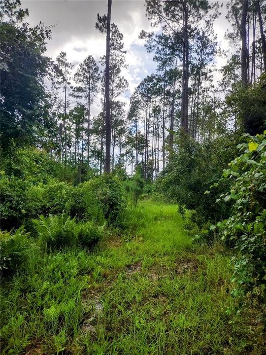 На продажу: $675,000 (3 спален, 2 ванн, 912 Квадратных фут)