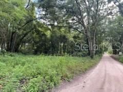 For Sale: $150,000 (1.25 acres)