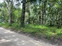 For Sale: $150,000 (1.25 acres)