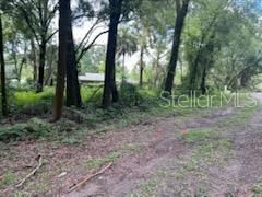 For Sale: $150,000 (1.25 acres)