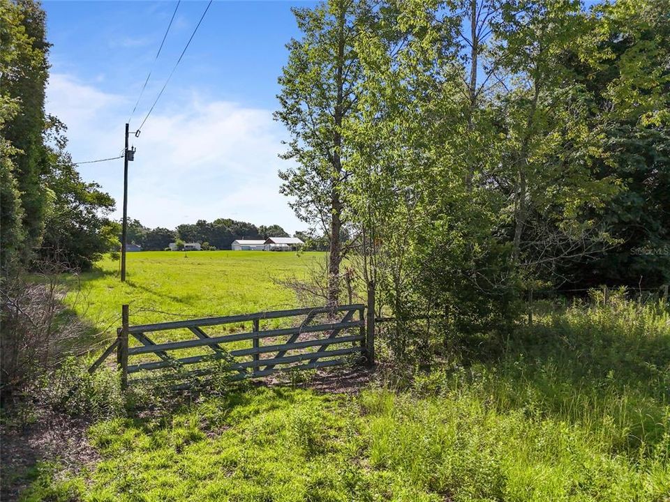 For Sale: $195,000 (5.04 acres)