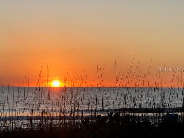 For Sale: $649,000 (2 beds, 2 baths, 1072 Square Feet)