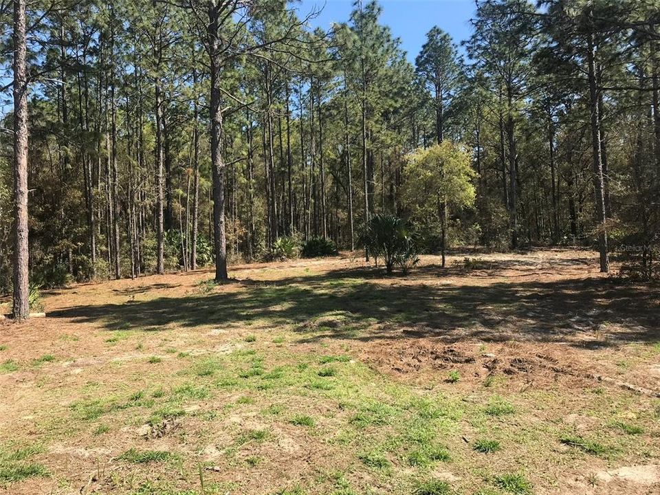 待售: $1,200,000 (10.05 acres)