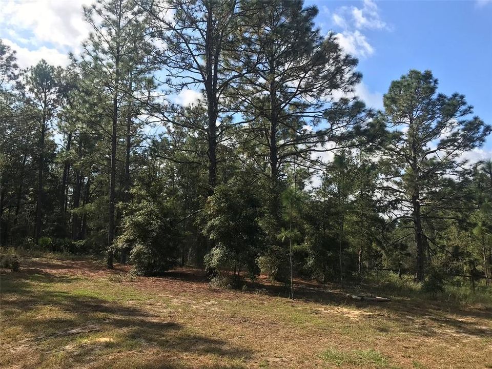 待售: $1,200,000 (10.05 acres)