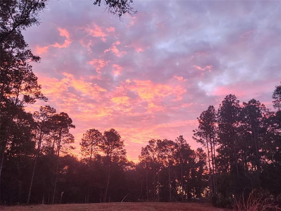 待售: $1,200,000 (10.05 acres)