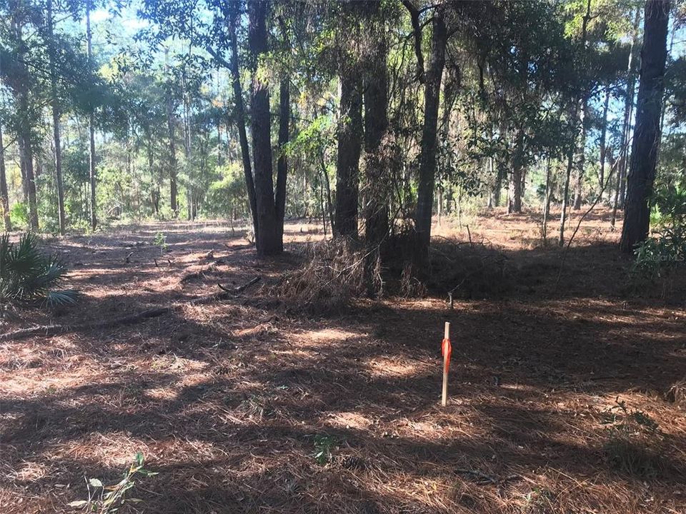 待售: $1,200,000 (10.05 acres)