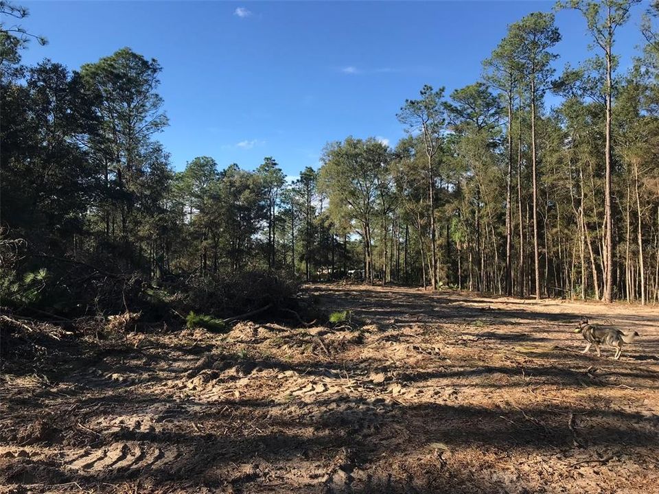 待售: $1,200,000 (10.05 acres)