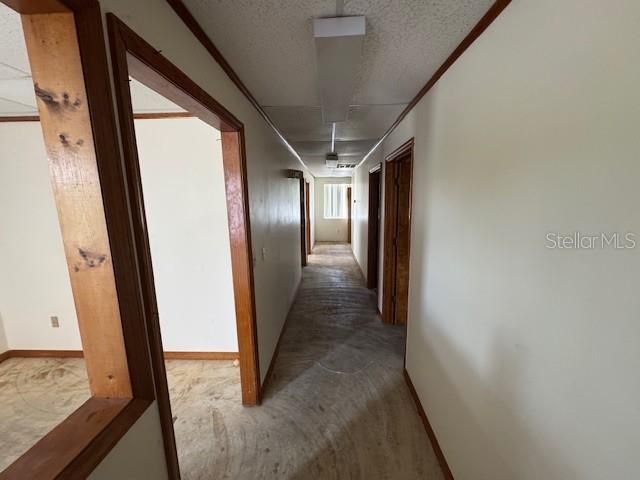 For Sale: $14,462 (0 beds, 0 baths, 1033 Square Feet)