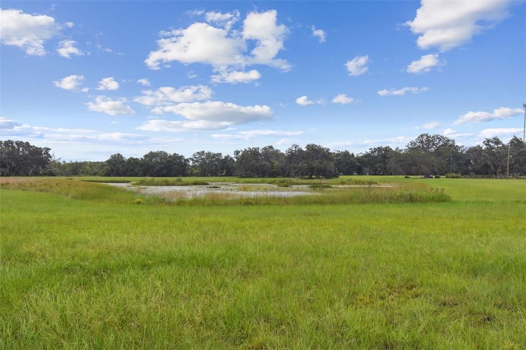 На продажу: $2,250,000 (5 спален, 5 ванн, 4571 Квадратных фут)