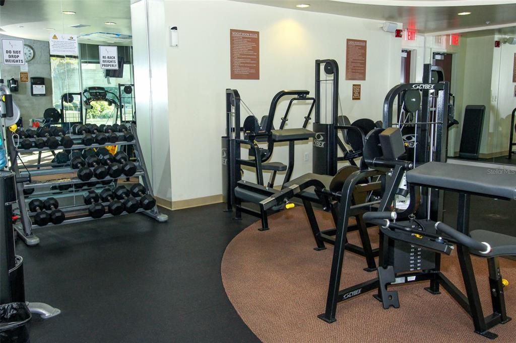 For Sale: $355,000 (2 beds, 2 baths, 1261 Square Feet)